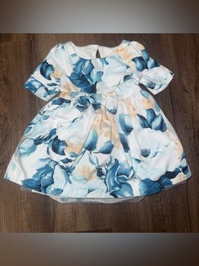 Janie and Jack Blue Floral Baby Dress